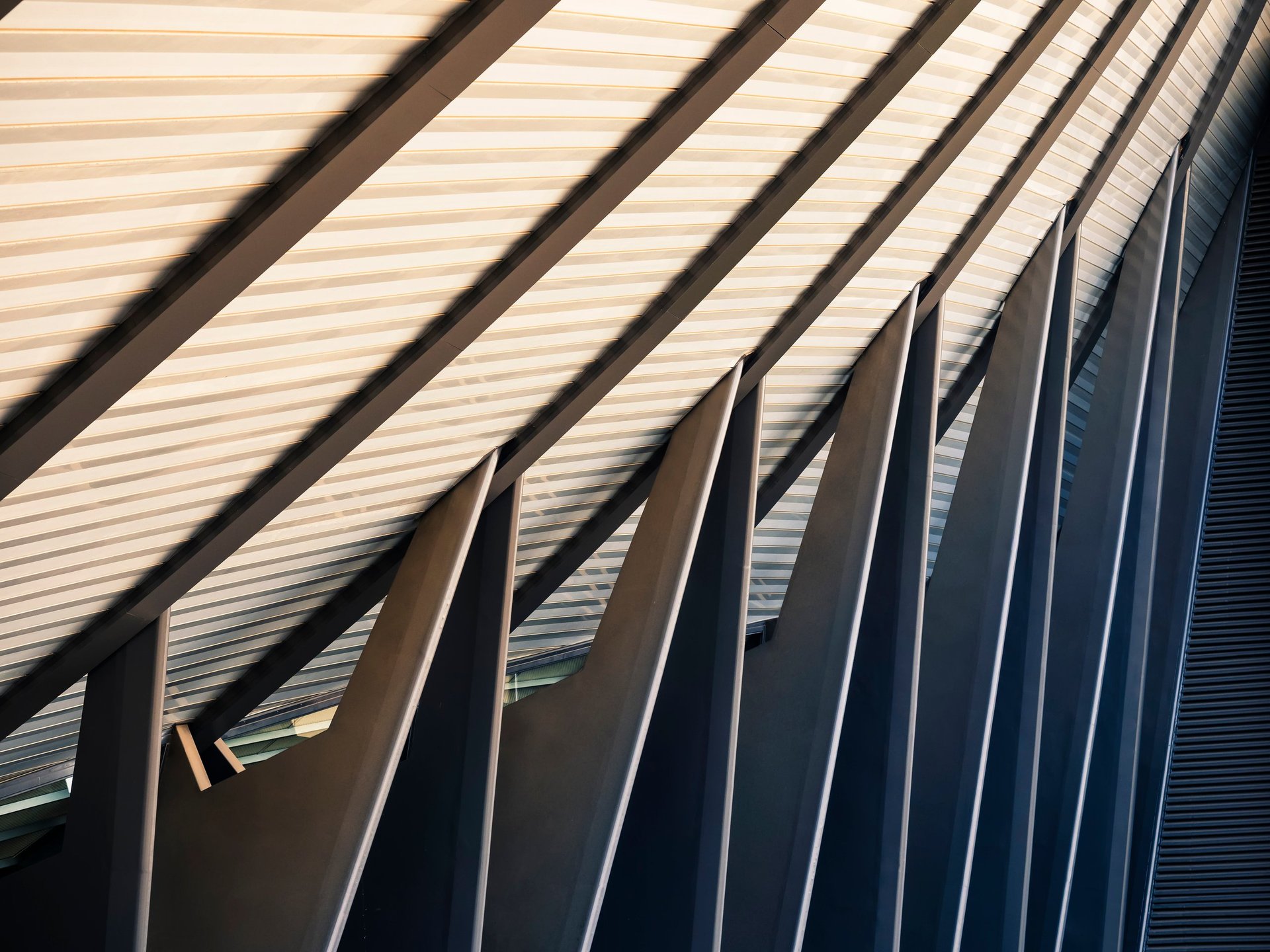 Steel Roof structure